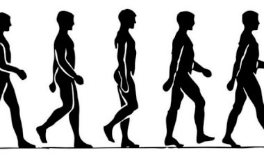 Análise quantitativa da marcha usando pistas virtuais em pacientes com doença de Parkinson com congelamento da marcha